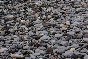 Background with pebbles photo