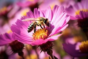 Honey bee collecting nectar and pollen from a colorful wildflower on a meadow on a sunny day morning. Ai generative photo