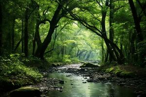 Lush green forest with diverse flora. Tall majestic trees and small bushes and ferns. The sun's rays break through the dense crown of trees. Ai generative photo