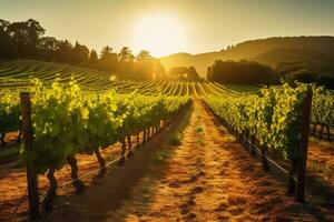 un pintoresco viñedo en un hermosa verde Valle con montañas en el antecedentes. creciente utilizando sostenible agricultura y irrigación métodos. ai generativo foto