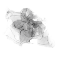 nero inchiostro forma png