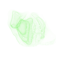 Green Alcohol Ink Shape png