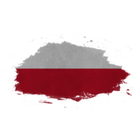 Polonia cepillo bandera png