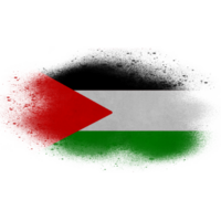 Palestine Brush Flag png