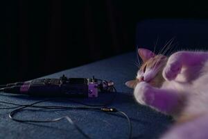 Cute white-red kitten lies on the sofa near the microphone with wires photo