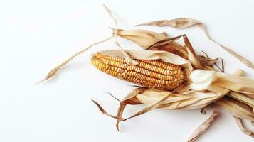 Corn cab isolated on white background. Concept of banner, package, product design element. AI Generated photo