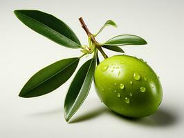 AI Generated Isolated Olive photo with background