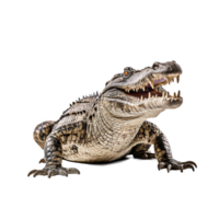 Siamese crocodile isolated on transparent background, created with generative AI png