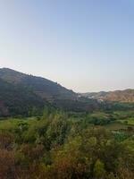 Lush green mountain landscape with trees photo