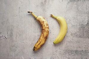 comparing rotten banana with a ripe banana on a white background photo
