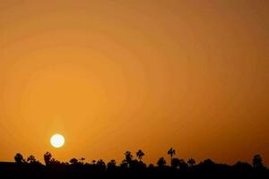 puesta de sol sobre los árboles foto