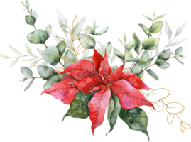 Eucalyptus and Poinsettia Christmas Bouquet Hand Painted Watercolor Illustration png