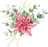 eucalipto y flor de pascua Navidad ramo de flores mano pintado acuarela ilustración png