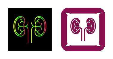 Kidney Vector Icon