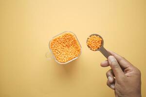 spoon with red lentils in a hand photo