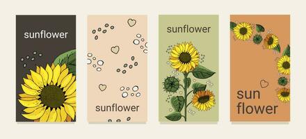 Summer banners with yellow sunflowers for social networks. Vector illustration