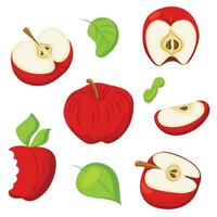 Set with red apple, whole and cut. Set of simple icons in flat style for your design. Vector illustration isolated on white background.