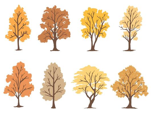 Set Trees and roots for Autumn season style. Can be used for your work. Welcome Autumn season concept.