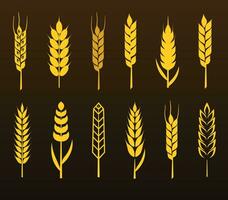 A set of grain ears vector