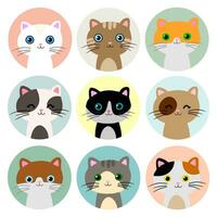 Cats heads in colorful circle design. Collection of cute and funny animals. vector