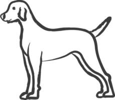 señalando perro mano dibujado vector ilustración
