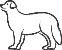 Bernese Mountain dog hand drawn vector illustration