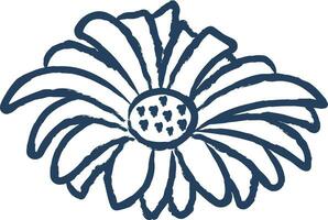 Daisy flower hand drawn vector illustration