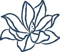 magnolia flower hand drawn vector illustration