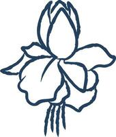 Fuchsia flower hand drawn vector illustration