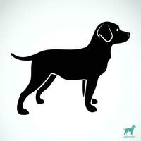 Vector of a dog labrador on white background. Pet. Animal.