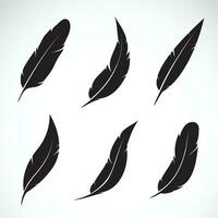 Vector group of feather on white background. Easy editable layered vector illustration.