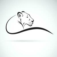 Vector of a lion female design on white background, Wild Animals.