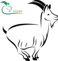 Vector image of a goat on white background