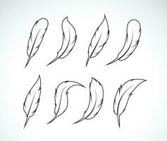 Vector group of feather on white background. Easy editable layered vector illustration.