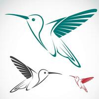 Vector image of an hummingbird