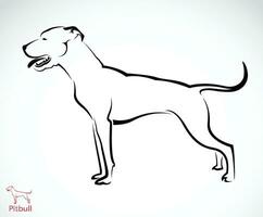 Vector of pitbull dog on white background. Easy editable layered vector illustration. Pet., Animals.