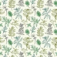 Culinary herbs seamless pattern with branches of basil, dill, oregano, rosemary, sage, mint, bay leaf. Repeating background with botanical engraved plants vector illustration. For print, card, textile