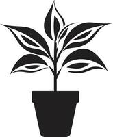 elegante planta majestad monocromo maceta símbolo botánico belleza en negro emblemático cerámica icono vector