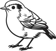 elegante aviar símbolo icónico Robin vector icono plumado majestad monocromo pájaro logo