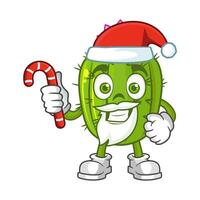 Cactus santa cartoon character holds christmas candies vector