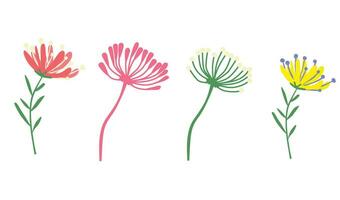 Floral vector. Spring flower. Flat flower. Flower bloom. Flat vector in cartoon style isolated on white background,