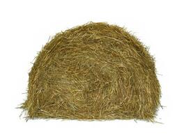 stack of hay on a white background photo