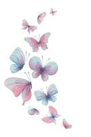 Butterflies are pink, blue, lilac, flying, delicate with wings and splashes of paint. Hand drawn watercolor illustration. Motion composition on a white background, for design. vector