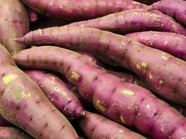 Fresco púrpura dulce patatas antecedentes foto