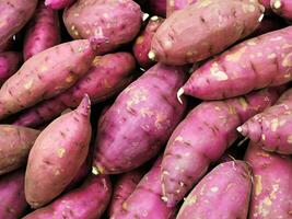 fresh purple potatoes in the market photo