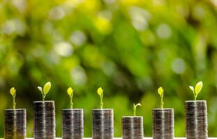 Business Finance and Money concept,Saving money for prepare in the future.tree growing on coin of stacking with green bokeh background photo