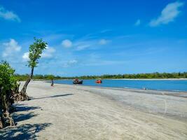 Two boats in the lake with a background sky and tree. Natural environment view photo