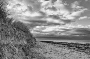 on the beach with dune at the Baltic Sea in black and white. Cloudy sky. sand. photo