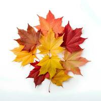 Autumn leaves on isolated white background, AI Generative photo