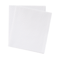 dois guardada peças do branco lenço de papel papel ou guardanapo dentro pilha ordenadamente preparado para usar dentro banheiro ou Sanitário isolado com recorte caminho dentro png formato